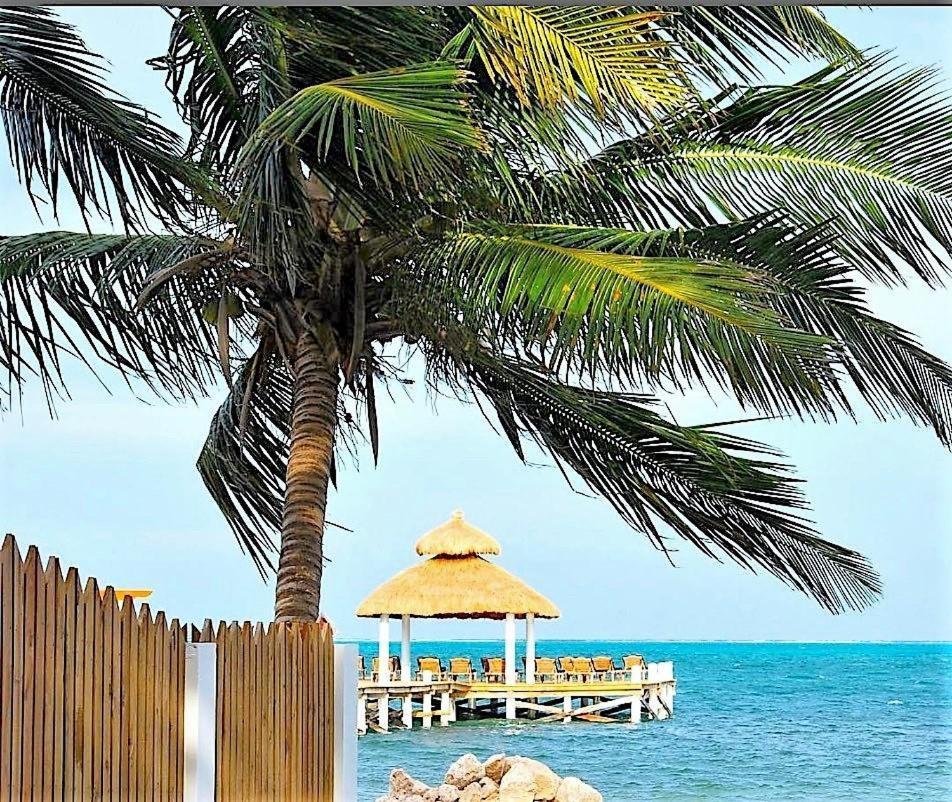 Velento Partial Ocean View Penthouse #7 Villa Caye Caulker Dış mekan fotoğraf